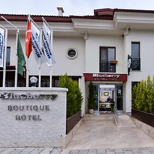Hotel Blueberry Boutique